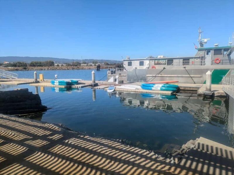 Redwood City: Stand-Up Paddleboard Rental - An Authentic Water Adventure in Redwood City