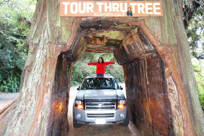 Redwood National Park Tour 2-Day Private Tour Package Hotel Included - Itinerary Overview