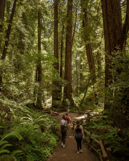 Redwoods Full Day Private Tour and Hike - Tour Highlights