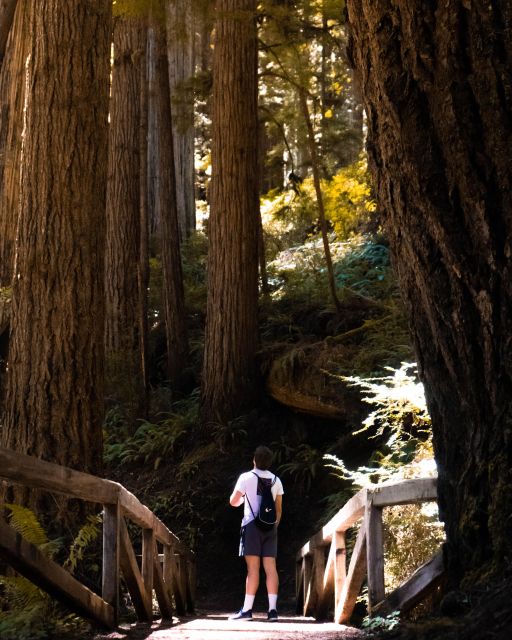 Redwoods Full Day Private Tour and Hike - Frequently Asked Questions