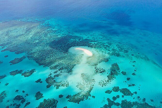Reef and Rainforest 60 minute Scenic Flight - Who Is This Tour Best For?
