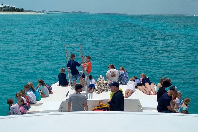 Reef, Beach and Sandbar Tour From Providenciales - Wildlife Encounter Opportunities