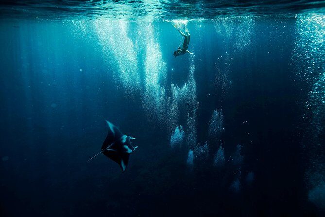 Reef Discovery Half Day Group Signature Tour - The Itinerary: What to Expect from Start to Finish