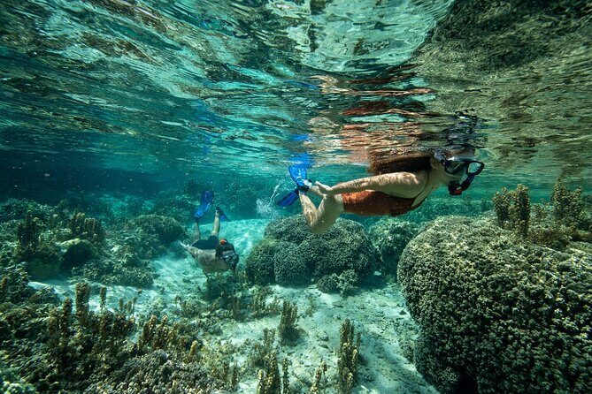 Reef Discovery Luxury Private Snorkeling Lagoon Tour - Who Should Book This Tour?