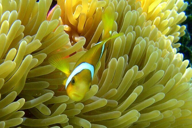 Reef Discovery Luxury Water Lunch Cruise - Final Thoughts: Is It Worth the Price?