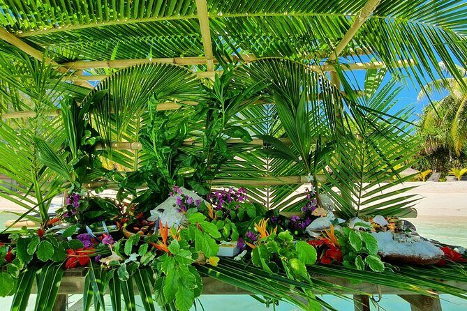 Reef Discovery Luxury Water Lunch Cruise - FAQ