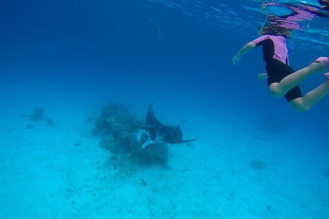 Reef Discovery Private Full Day Lagoon Tour & Motu Lunch - Why This Tour Is Worth the Price