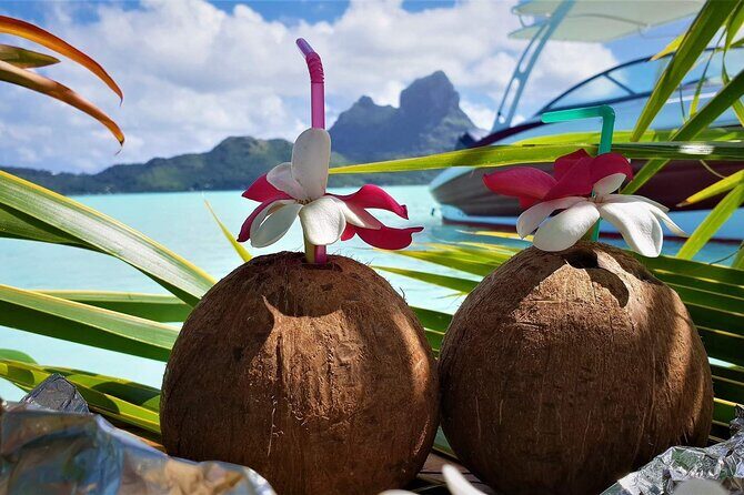 Reef Discovery Private Full Day Lagoon Tour & Water Lunch - Authentic Marine Encounters and Customer Feedback