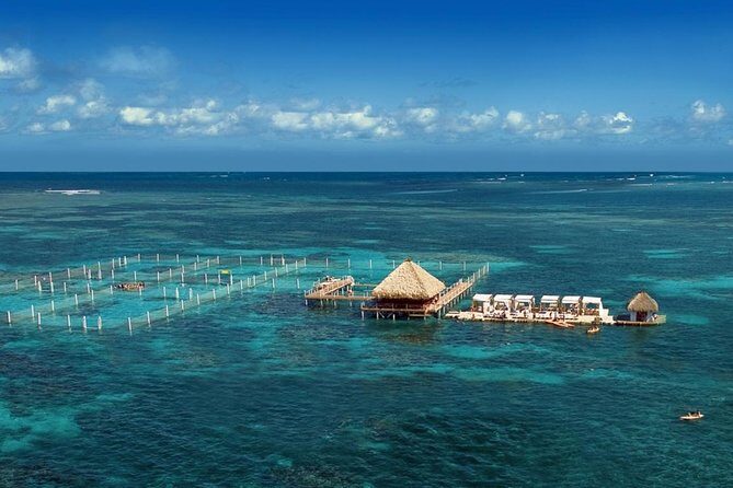 Reef Explorer Half Day Trip - A Closer Look at the Reef Explorer Experience