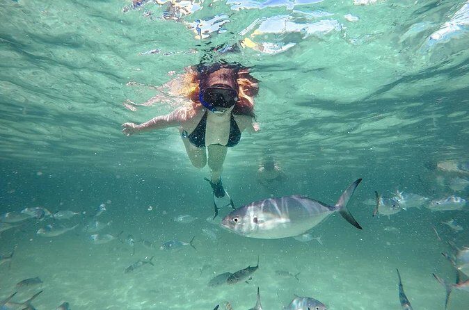 Reef Explorer Half Day Trip - FAQ