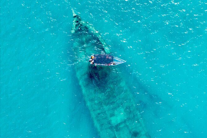 Reef Explorers Transparent Boat and Beach Tour - Key Points