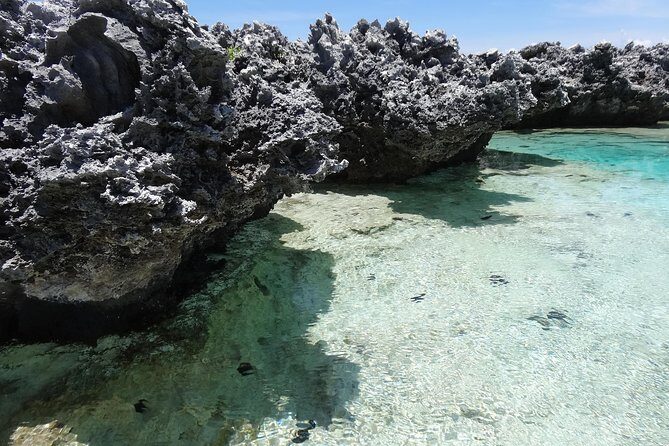 REEF ISLAND | private island | pink sand | natural swimming pools - FAQ