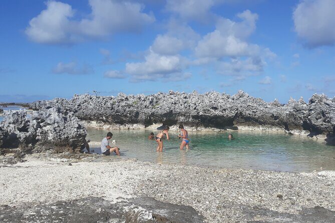 Reef island private tour - The Sum Up: Is It Worth It?