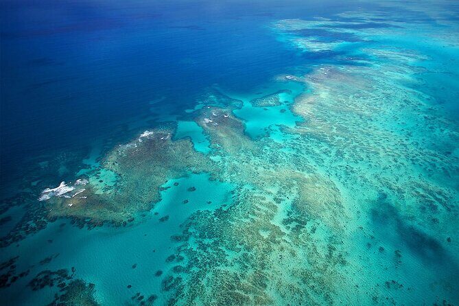 Reef Rainforest Fusion - 45 Minute Reef and Rainforest Flight - Why This Tour Works for You