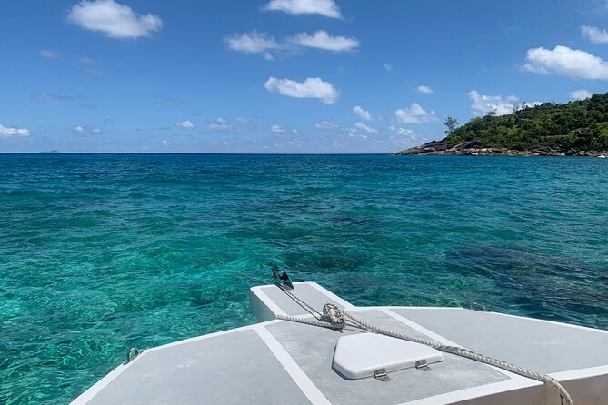 Reef Safari - Snorkeling, Fish Feeding & Lunch (Shared Day Trip) - Guest Reviews and Feedback