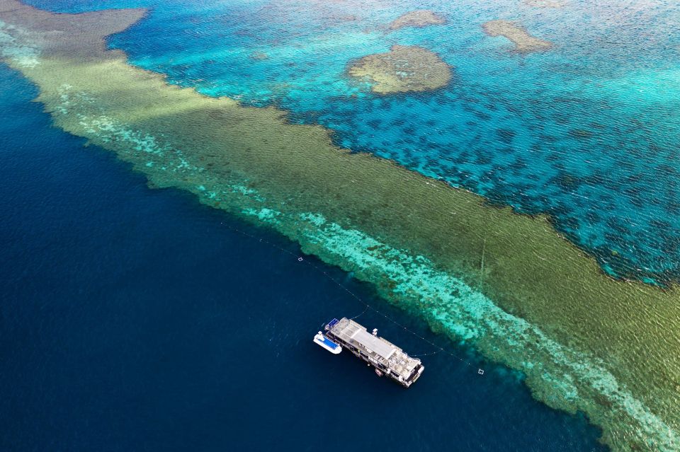 Reef Sleep: 2-Day Great Barrier Reef Pontoon & Gourmet Meals - Experience Highlights