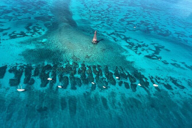 Reef Snorkel Adventure at Sombrero Key Light Reef - Discovering the Underwater Beauty of Sombrero Key Light Reef
