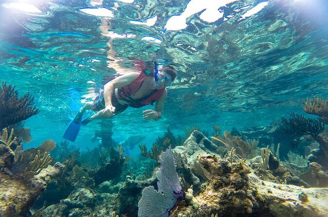 Reef Snorkel and Cenote Experience - FAQ