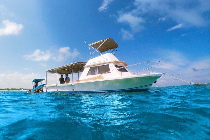 Reef Snorkeling in National Park From Cancun With Beachside Lunch - Safety and Accessibility