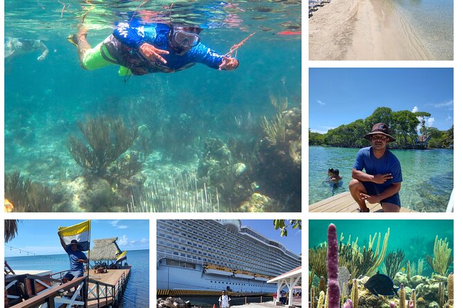 Reef Snorkeling Tour - Key Points