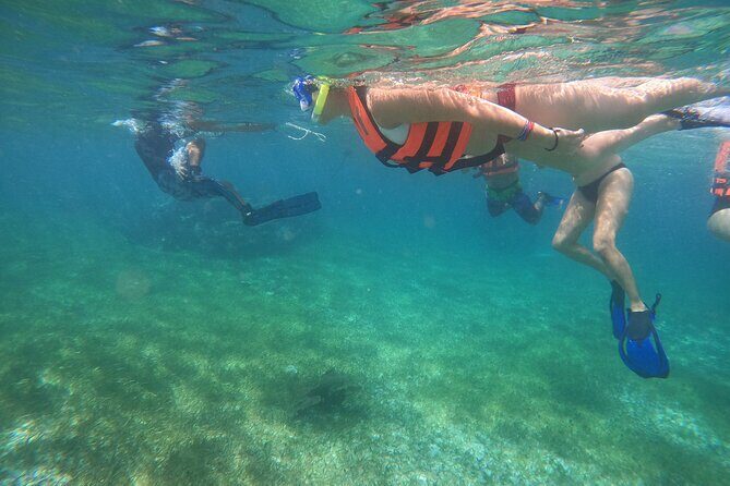 Reef Snorkeling with ATV, Zipline, Cenote that includes lunch and transportation - The Value of the Tour