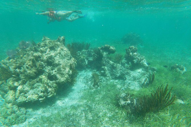 Reef Snorkeling with ATV, Zipline, Cenote that includes lunch and transportation - Authentic Experiences and Traveler Insights