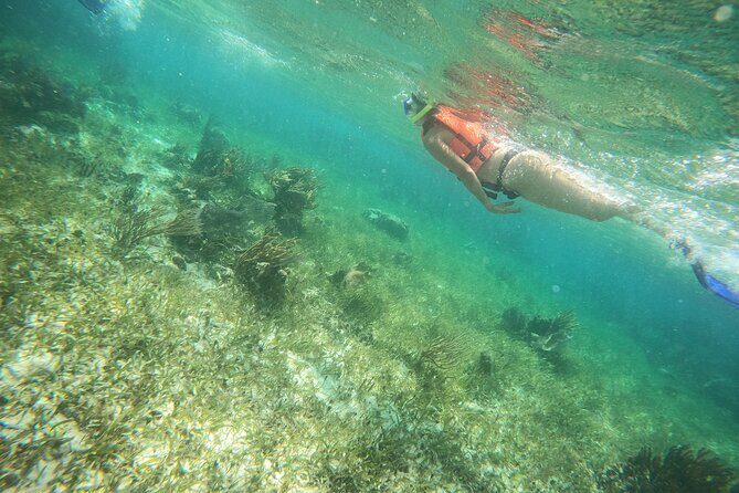 Reef Snorkeling with ATV, Zipline, Cenote that includes lunch and transportation - Who Should Consider This Tour?