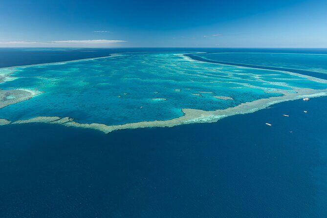 Reef & Whitehaven Spectacular - 60 Minute Helicopter Tour - Analyzing Value and Practicalities