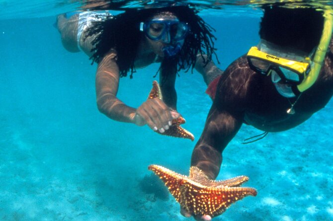 Reggae Rafting Experience With Power Snorkel Party Cruise - Inclusions