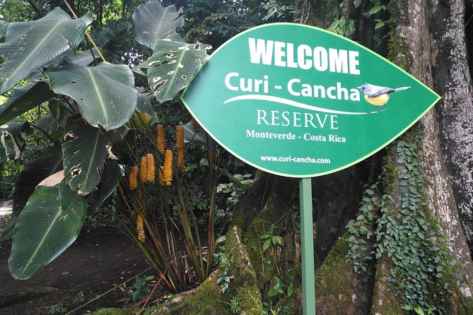 Regular Tour Curicancha : Not Entrance Fee and Not Transportation - Tour Schedule and Requirements