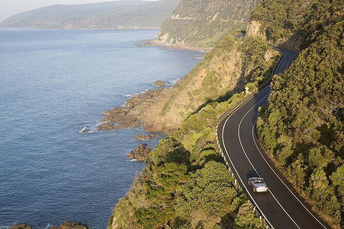 Reimagined Great Ocean Road 1-Day Tour from Melbourne - Exploring the Forests and Seaside Towns