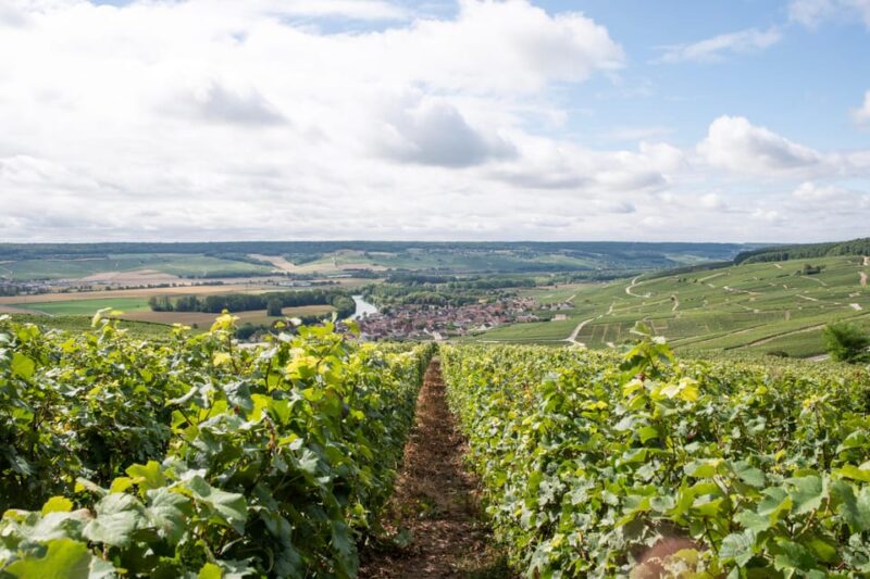 Reims: Champagne House Mumm, Winery Visit With Lunch - Important Information