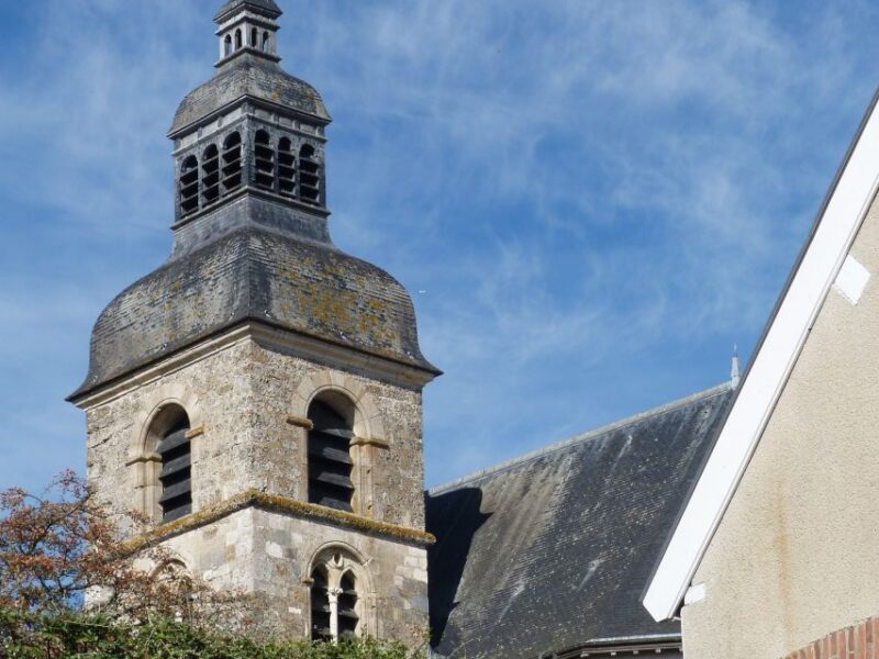 Reims & Epernay: Full Day Private Champagne Tour & 2 Growers - Accessibility Options