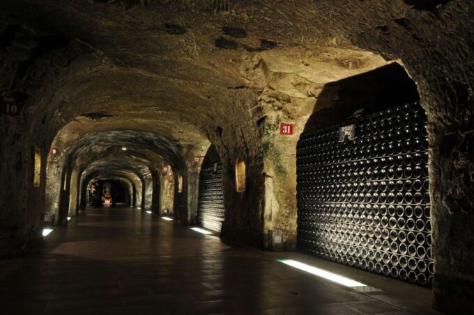 Reims/Epernay: Private Moet & Chandon Winery Tour & Tastings - Tasting Experiences