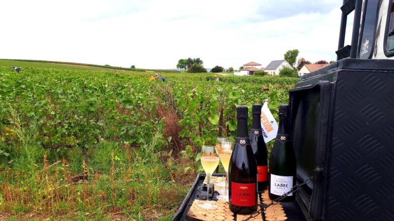 Reims: The Essential Tradition & Panoramic Tasting - Traversing the Vineyards