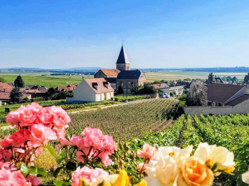 Reims: Veuve Clicquot Tasting Private Tour in Champagne - Itinerary Highlights