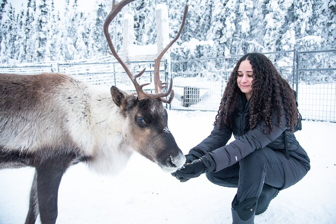 Reindeer and Snowmobile Day Trip to Borealis Basecamp With Lunch - Participation Requirements
