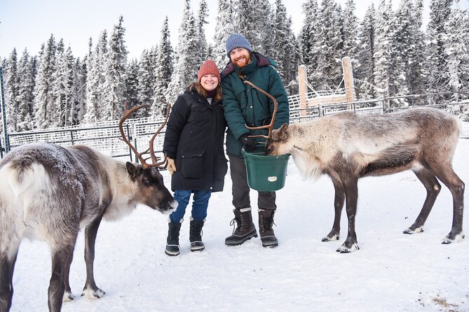 Reindeer and Snowmobile Day Trip to Borealis Basecamp With Lunch - Additional Activity Options