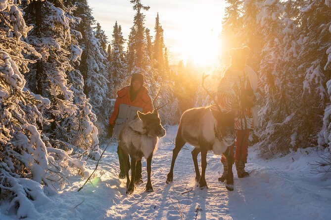 Reindeer and Snowmobile Day Trip to Borealis Basecamp With Lunch - Dining and Meal Voucher
