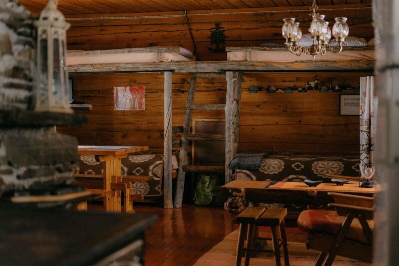 Reindeer Husbandry with Snowmobile Sleigh Ride and Lunch - Detailed Breakdown of the Itinerary