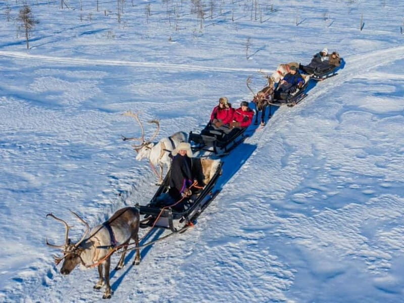 Reindeer Safari at a 200-Year-Old Farm & Long Sled Ride - FAQ