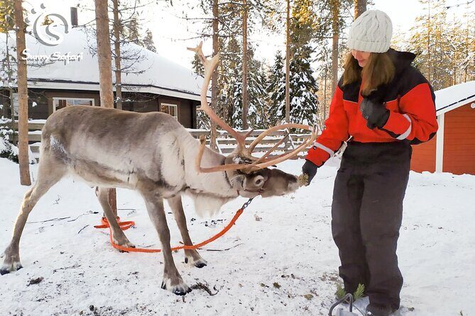 Reindeer Safari in Arctic Wilderness - Introduction: A Taste of Arctic Tradition