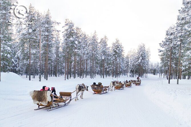 Reindeer Safari in Arctic Wilderness - The Sum Up: Who This Experience Is Perfect For