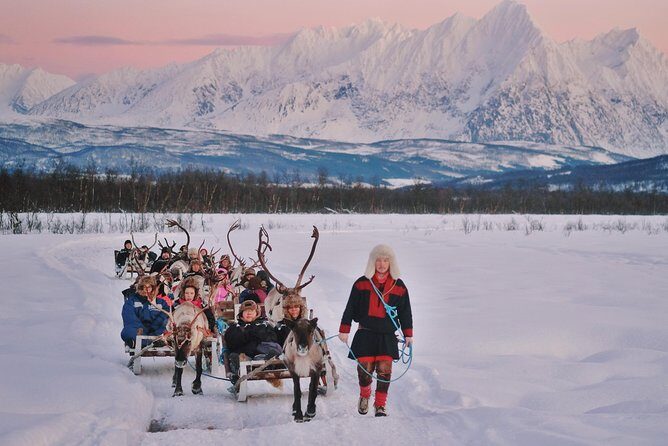 Reindeer Sledding and Feeding with Sami Culture in Tromso. - Introduction: What to Expect from This Tour