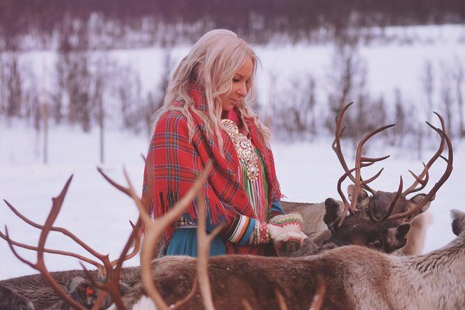 Reindeer Sledding and Feeding with Sami Culture in Tromso. - What the Reviews Say