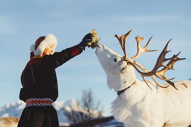 Reindeer Sledding and Feeding with Sami Culture in Tromso. - Practical Tips for Travelers