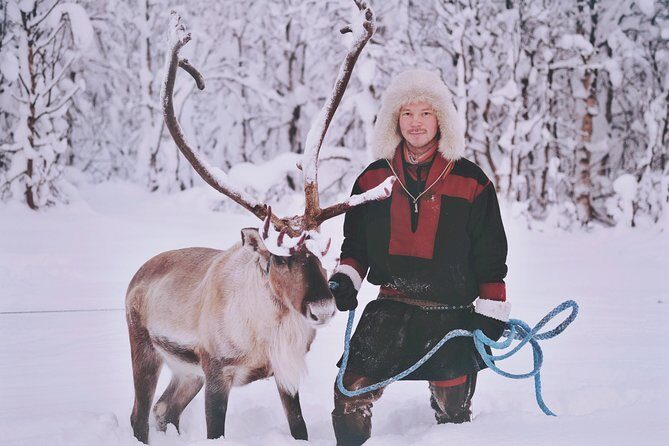 Reindeer Sledding and Feeding with Sami Culture in Tromso. - FAQ