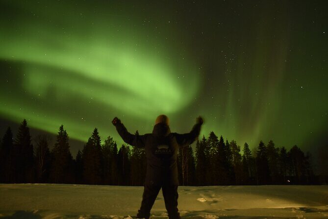Reindeer sleigh ride across the night in Apukka Resort Rovaniemi - What Makes This Tour Special?