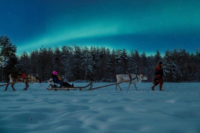 Reindeer sleigh ride across the night in Apukka Resort Rovaniemi - Final Summary