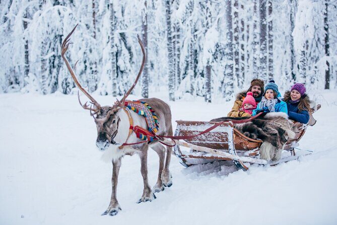 Reindeer Sleigh Ride and Farm Experience from Rovaniemi - An In-Depth Look at the Experience